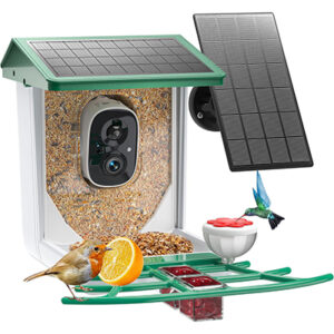 Bird Feeder with Camera